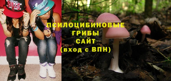 герыч Арсеньев